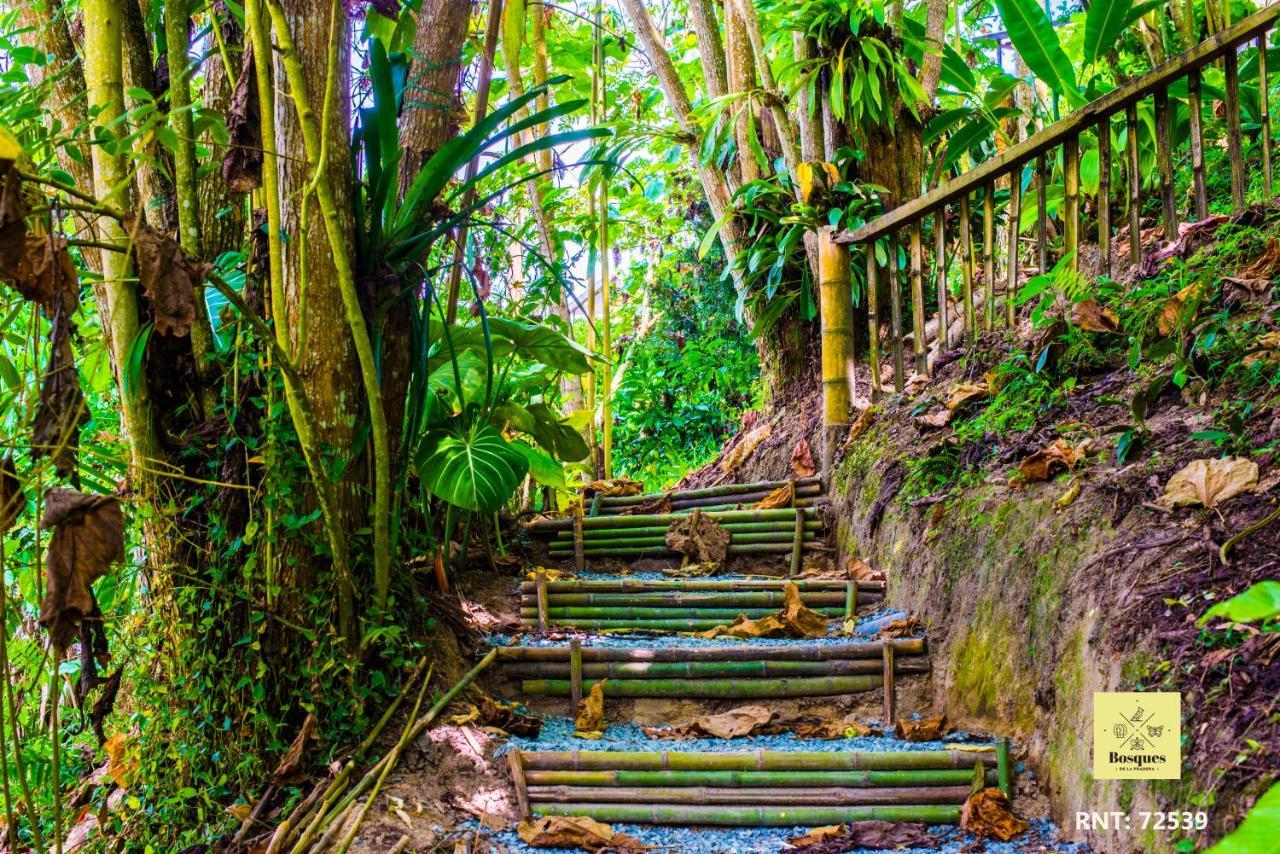 Bosques De La Pradera Hotel Manizales Ngoại thất bức ảnh